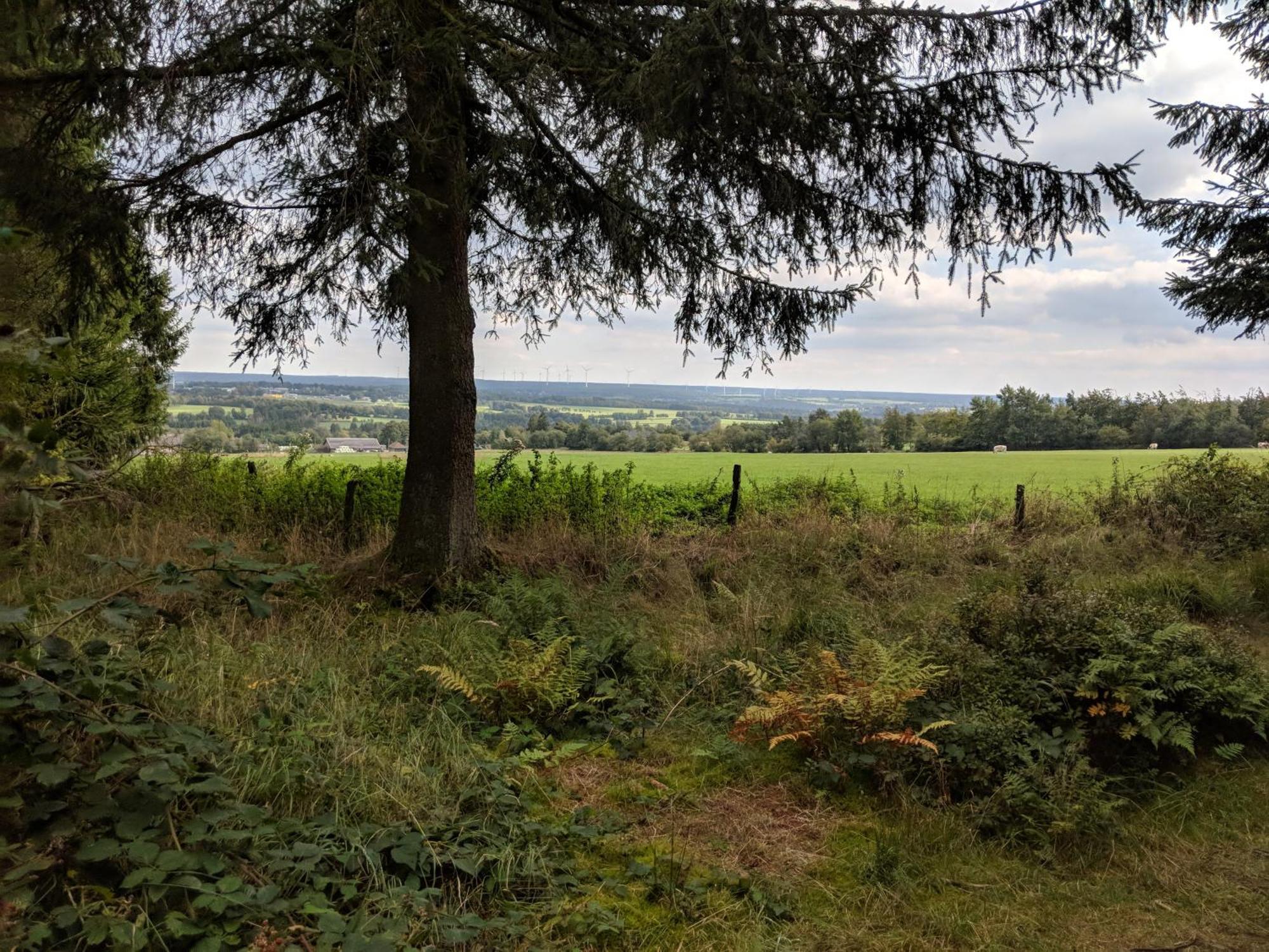 Victorhof Landurlaub Deine Auszeit Im Gruenen, Umgeben Von Wald & Wiesen Monschau Exterior foto